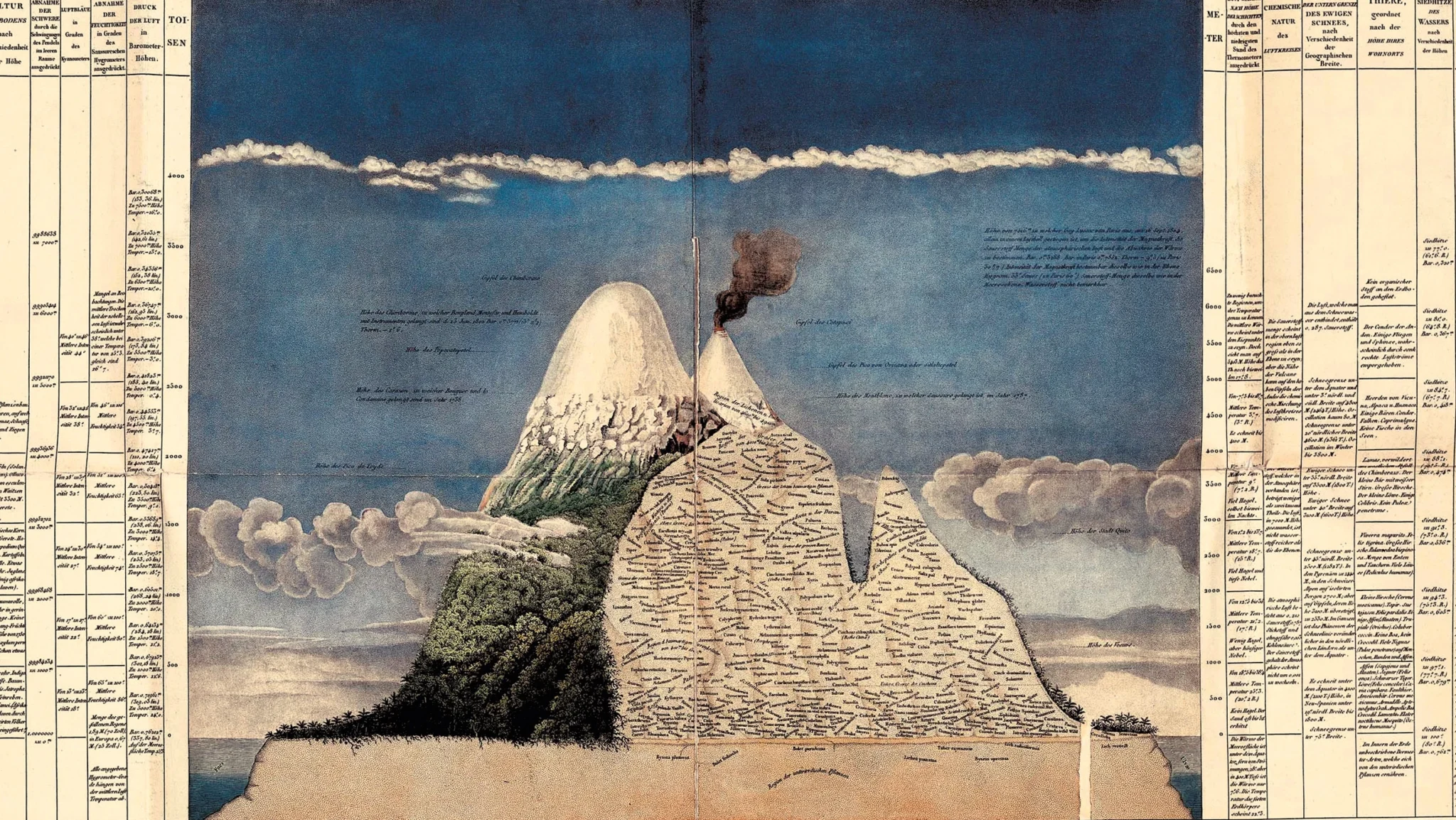 Alexander von Humboldt's detailed presentation of flora of Mount Chimborazo