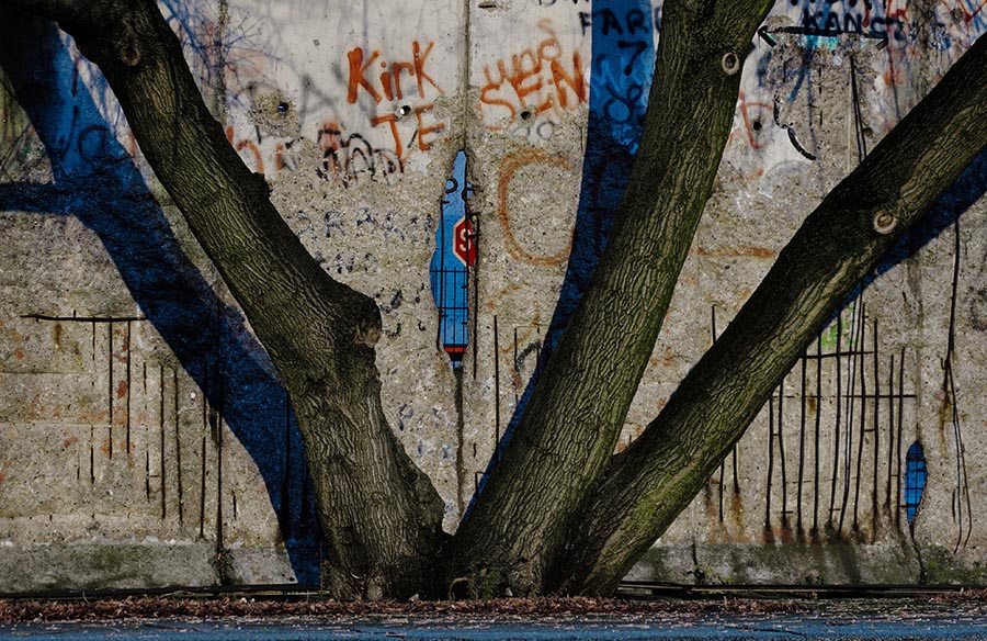 Berlin Wall with Tree
