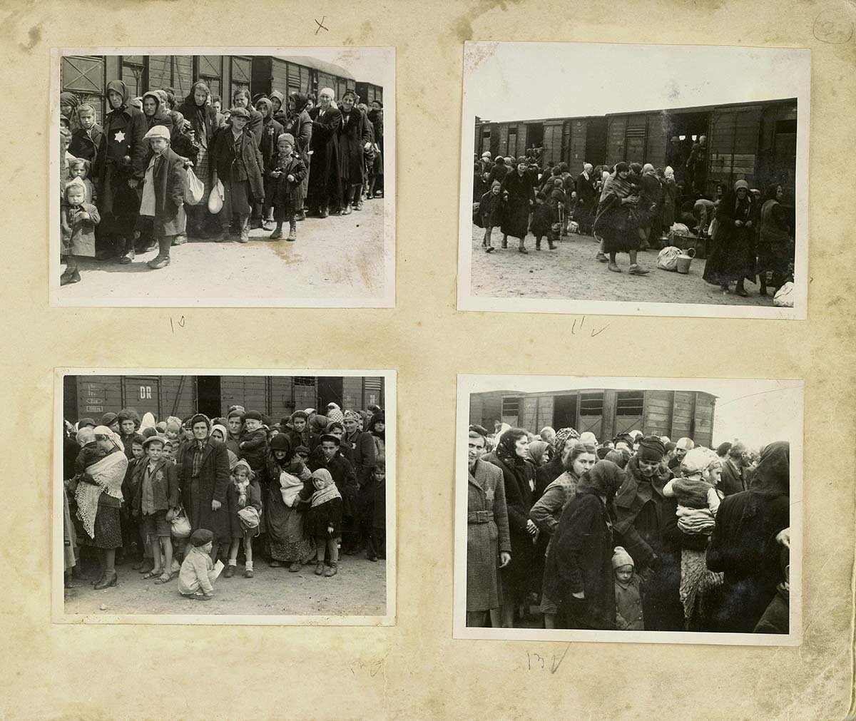 Hungarian Jews from Carpatho-Ruthenia. arrive at Auschwitz-Birkenau, pictured in a photo album that was presented as evidence at the Frankfurt Auschwitz trials - Yad Vashem